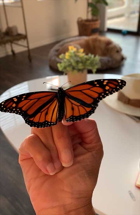 Geane-deLima-holding-butterfly